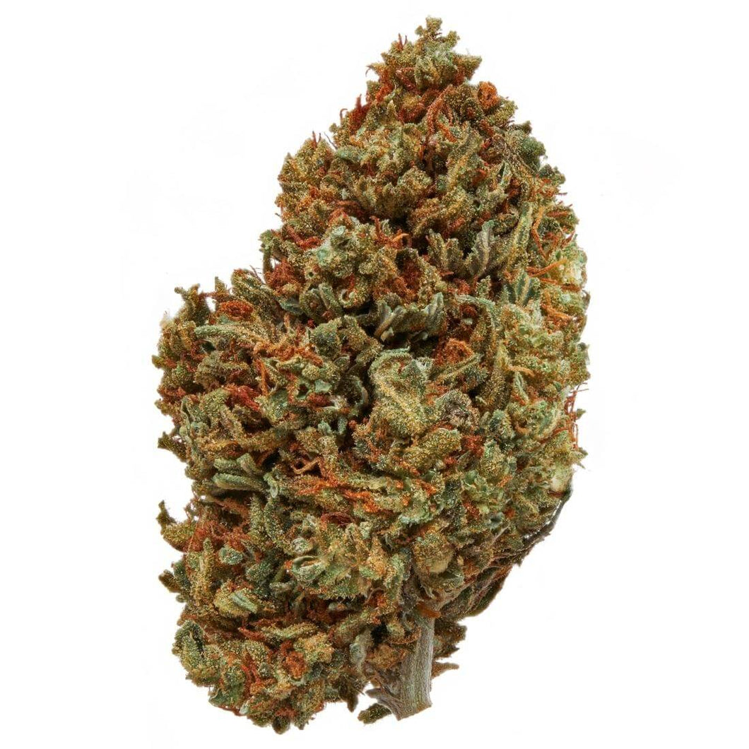 Modern Flower - Jet Fuel (Aspen OG x High Country Diesel) @ 34% THC/1.8%  terps… pk. date 10-12-22… frosted out buds, oily diesel fuel smell & taste,  heavy euphoric & clean cerebral